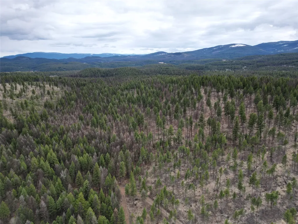 Nhn 120 Acres South Eureka MT 59917