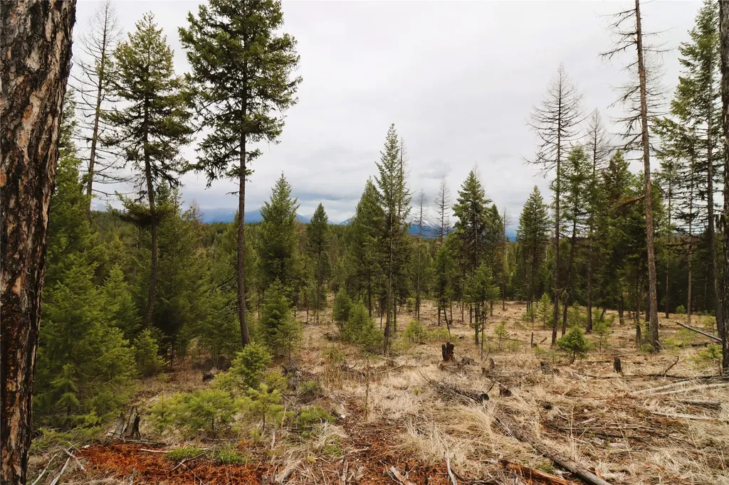 Nhn 120 Acres South Eureka MT 59917
