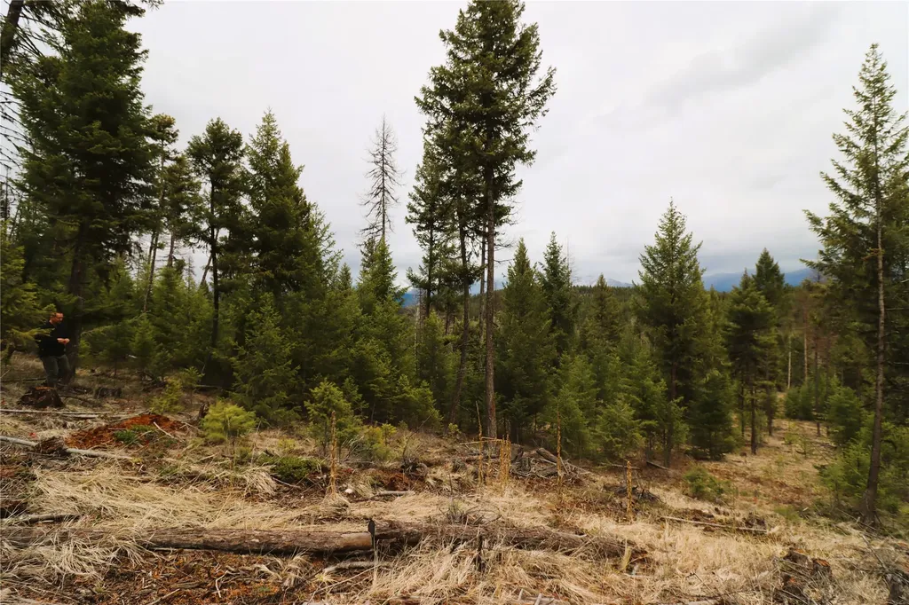 Nhn 120 Acres South Eureka MT 59917