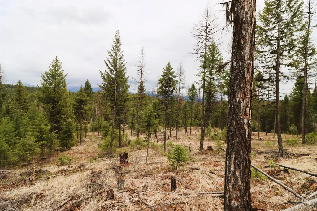 Nhn 120 Acres South Eureka MT 59917
