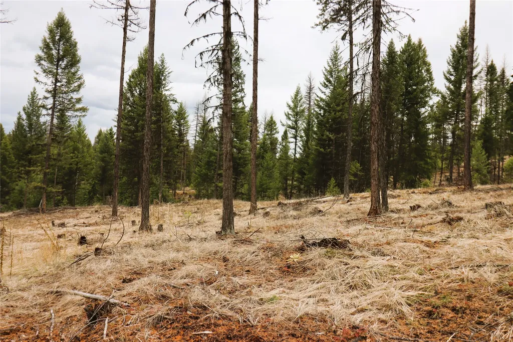 Nhn 120 Acres South Eureka MT 59917