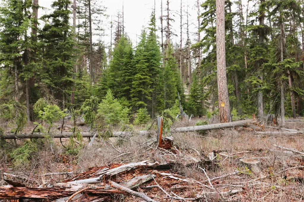 Nhn 120 Acres South Eureka MT 59917