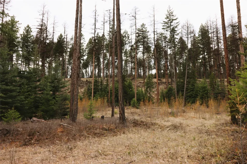 Nhn 120 Acres South Eureka MT 59917