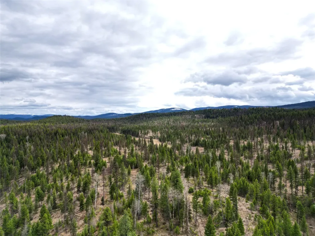 Nhn 120 Acres South Eureka MT 59917