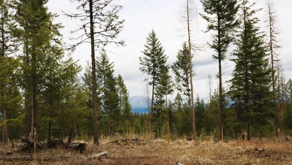 Nhn 120 Acres South Eureka MT 59917