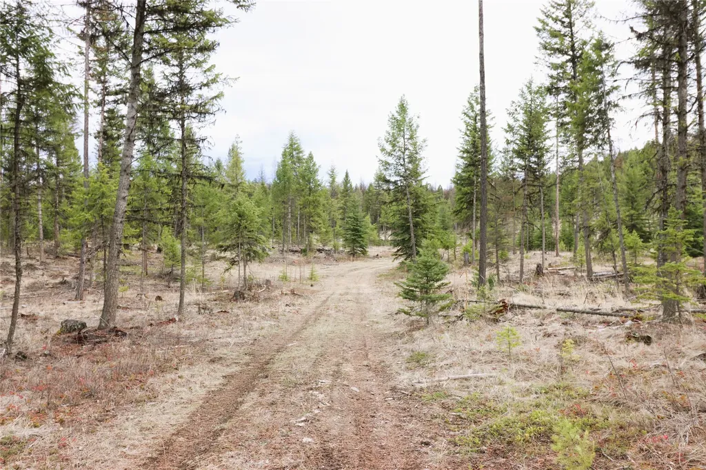 Nhn 120 Acres South Eureka MT 59917