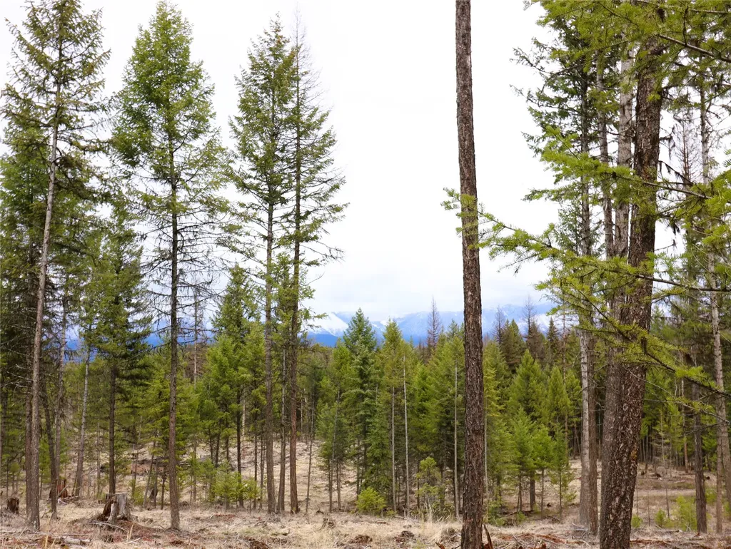 Nhn 120 Acres South Eureka MT 59917