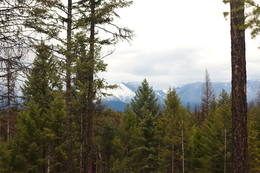 Nhn 120 Acres South Eureka MT 59917