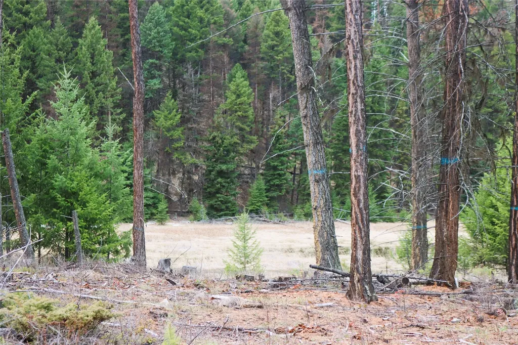 Nhn 120 Acres South Eureka MT 59917