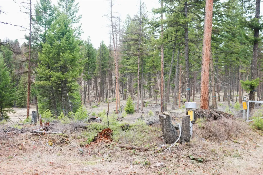 Nhn 120 Acres South Eureka MT 59917