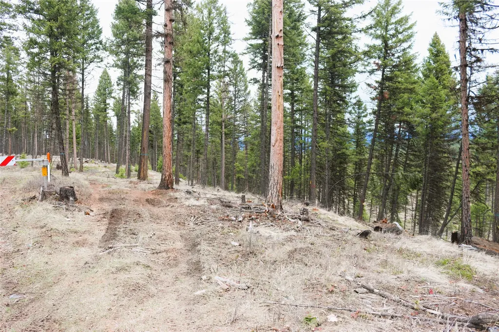 Nhn 120 Acres South Eureka MT 59917