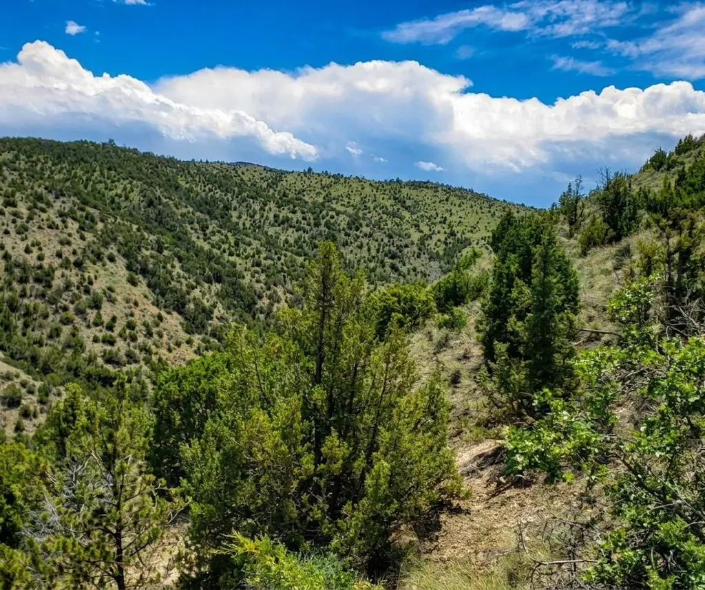 Tbd Lombard Road Toston MT 59643