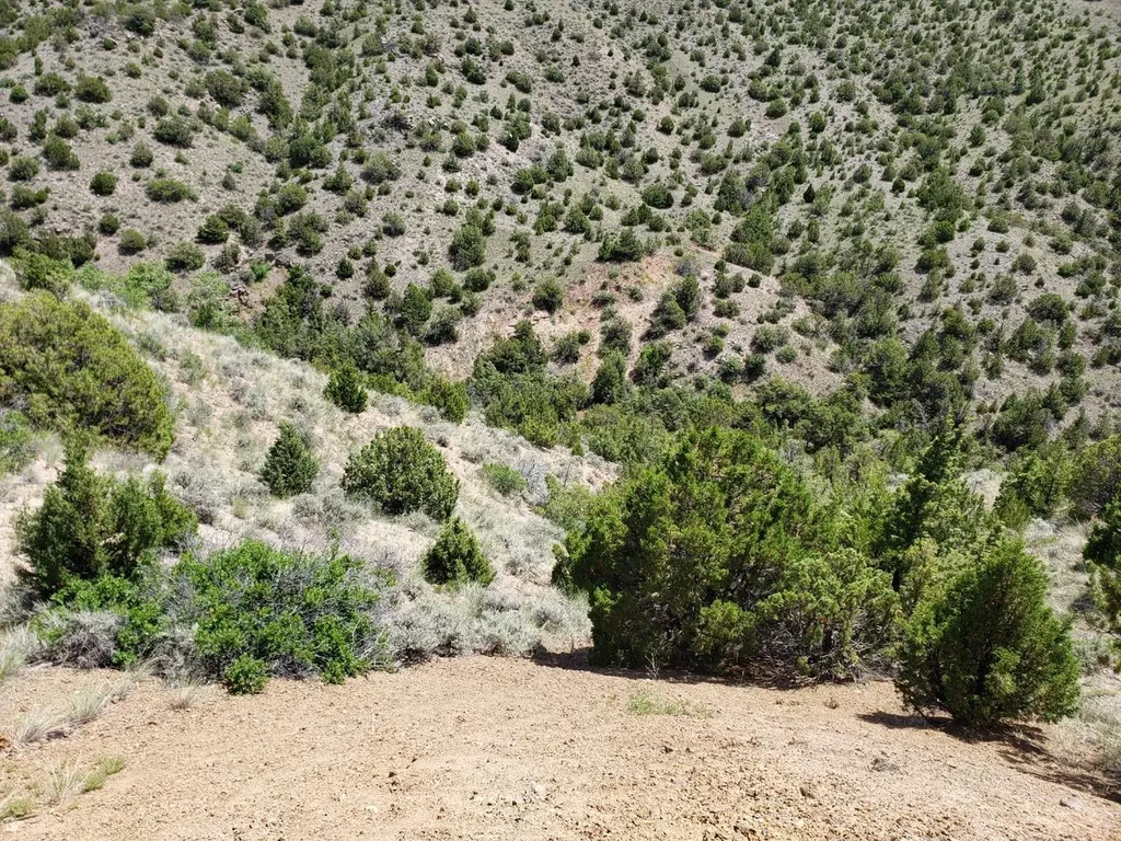 Tbd Lombard Road Toston MT 59643