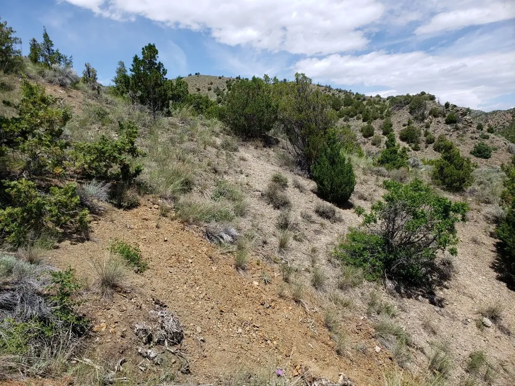 Tbd Lombard Road Toston MT 59643