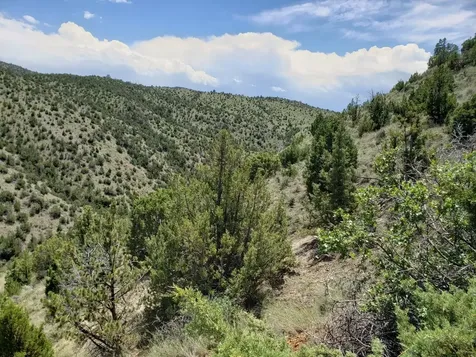 TBD Lombard Road Toston MT 59643