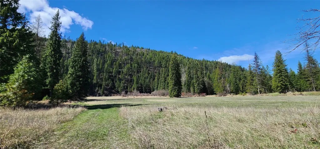 818 Lake Creek Road Troy MT 59935