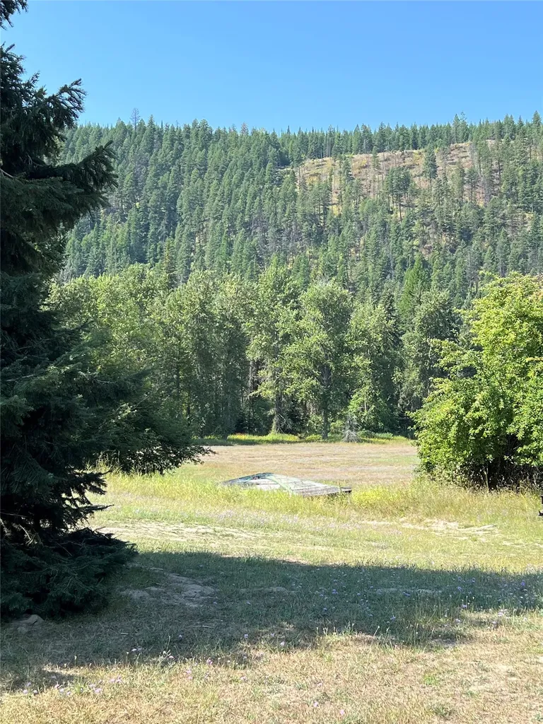 818 Lake Creek Road Troy MT 59935