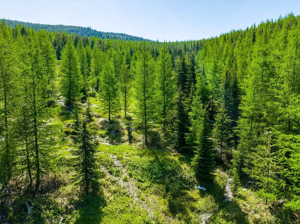 Nhn Griffin Creek Road Marion MT 59925