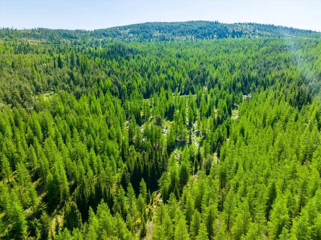 Nhn Griffin Creek Road Marion MT 59925