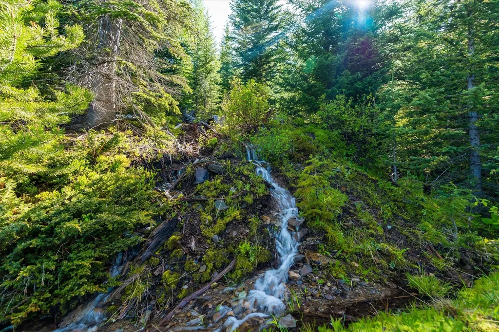 Nhn Griffin Creek Road Marion MT 59925