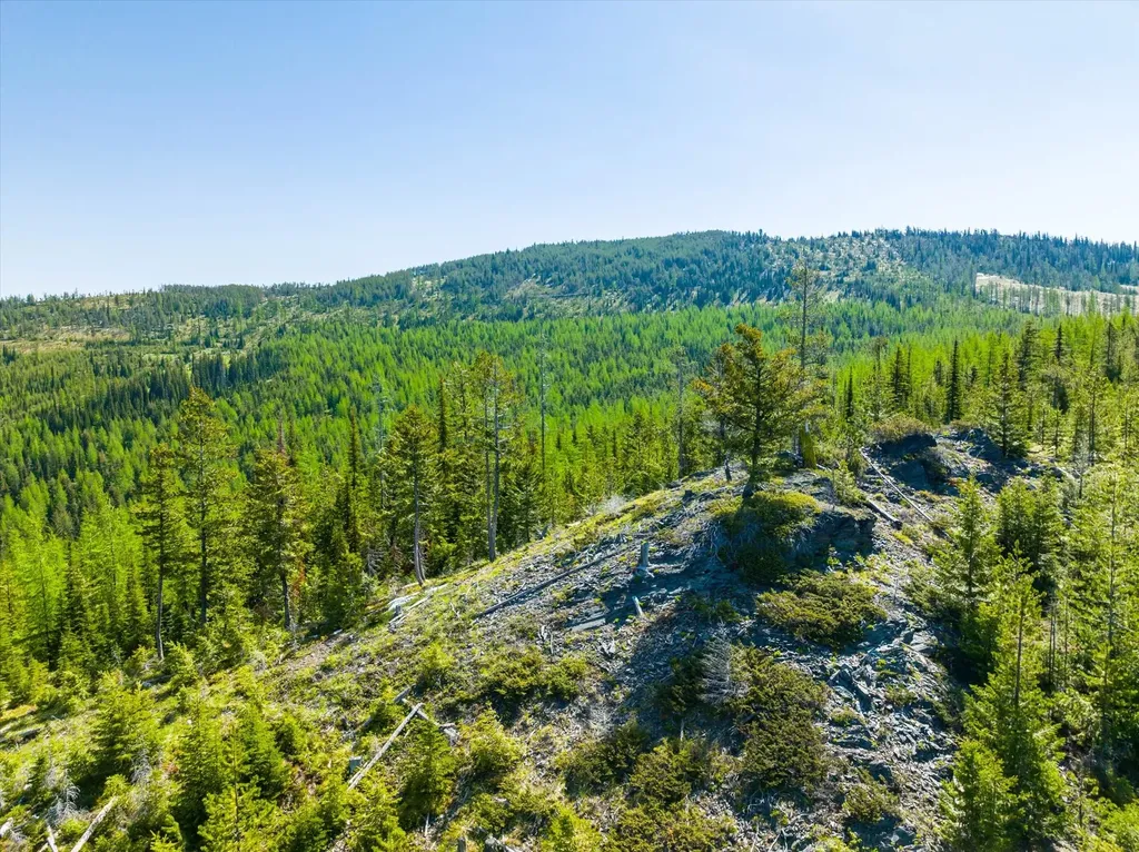 Nhn Griffin Creek Road Marion MT 59925