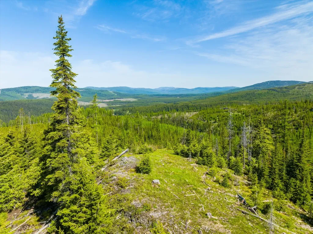 Nhn Griffin Creek Road Marion MT 59925