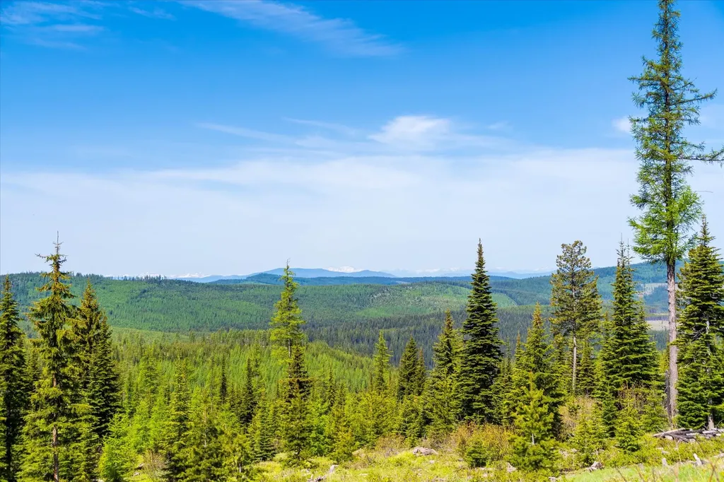 Nhn Griffin Creek Road Marion MT 59925