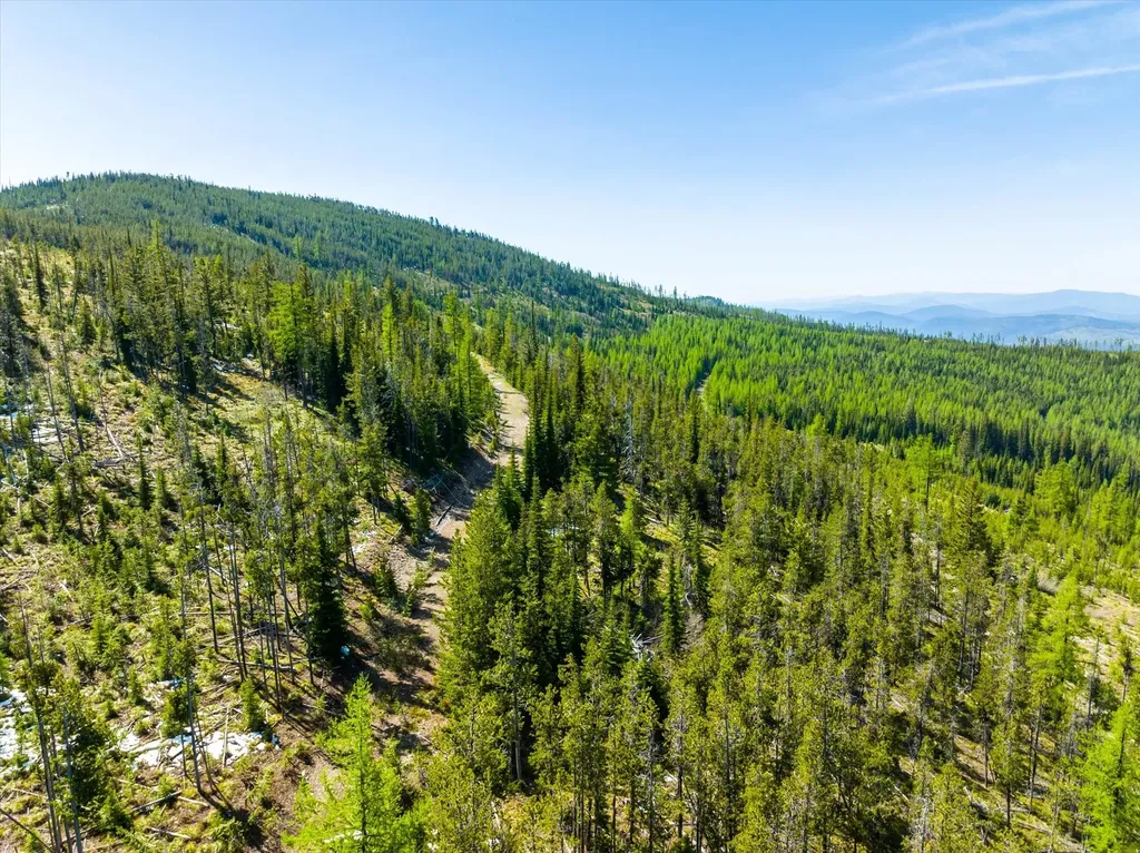 Nhn Griffin Creek Road Marion MT 59925