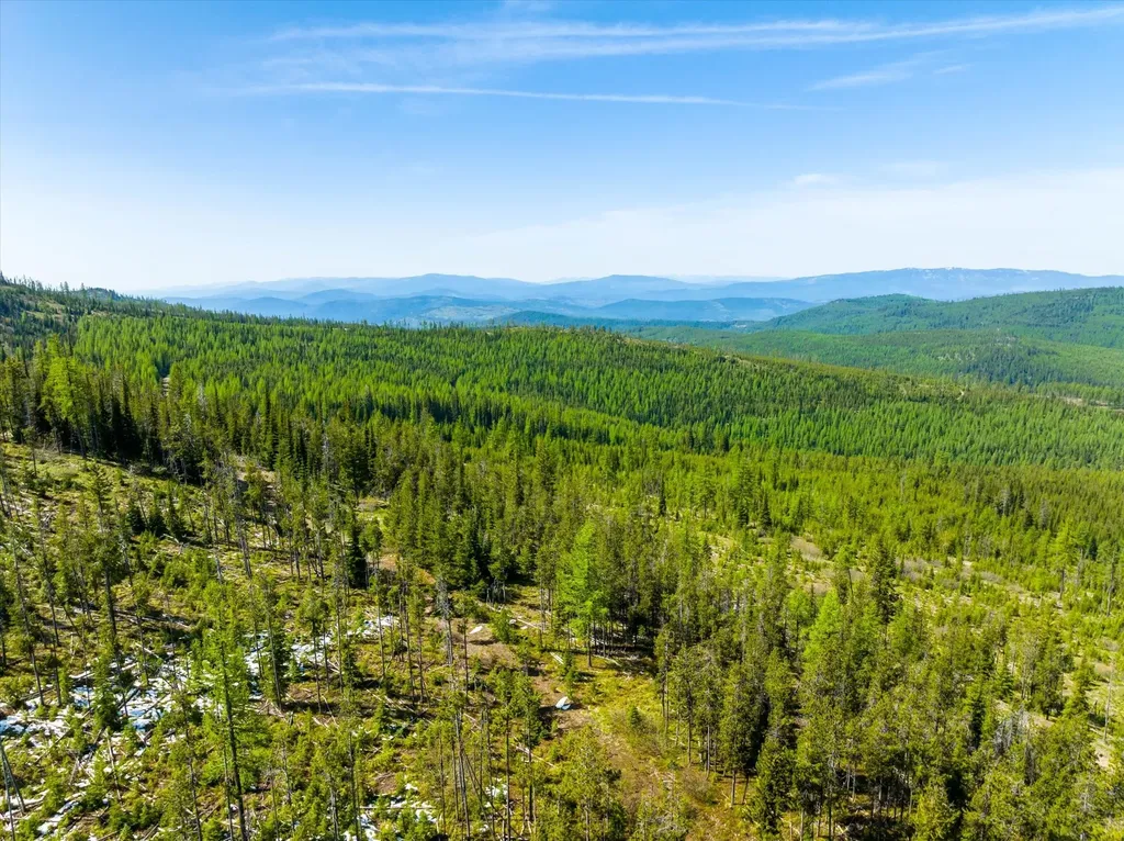 Nhn Griffin Creek Road Marion MT 59925