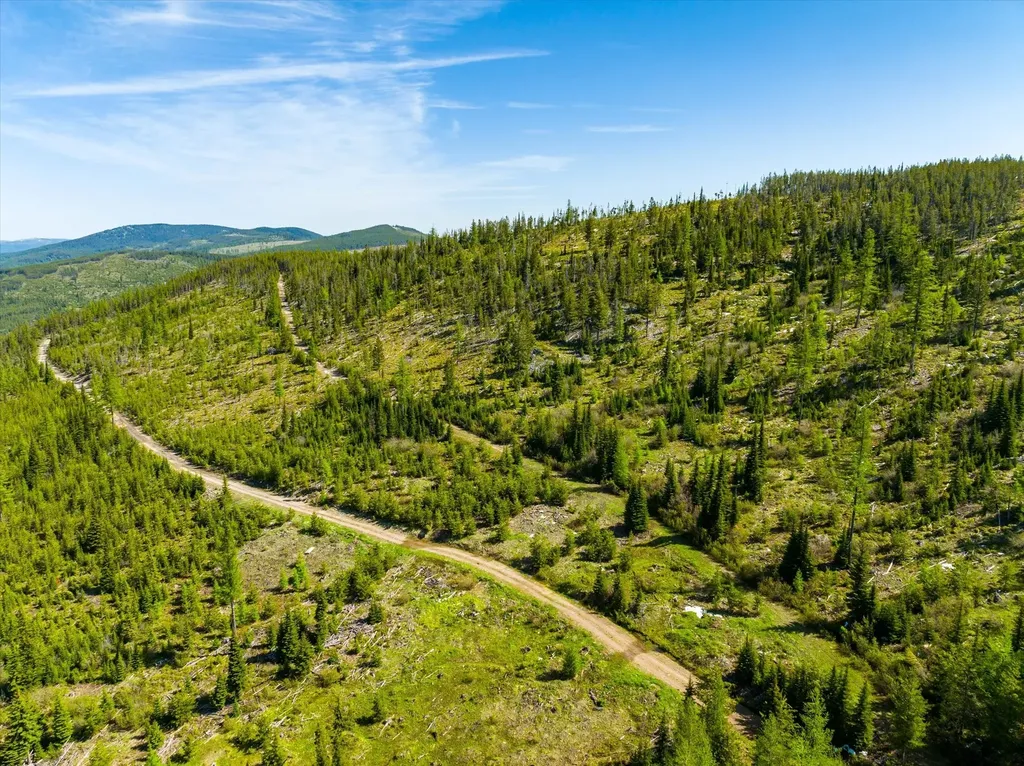 Nhn Griffin Creek Road Marion MT 59925