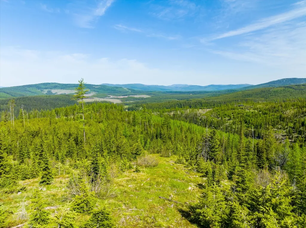 Nhn Griffin Creek Road Marion MT 59925
