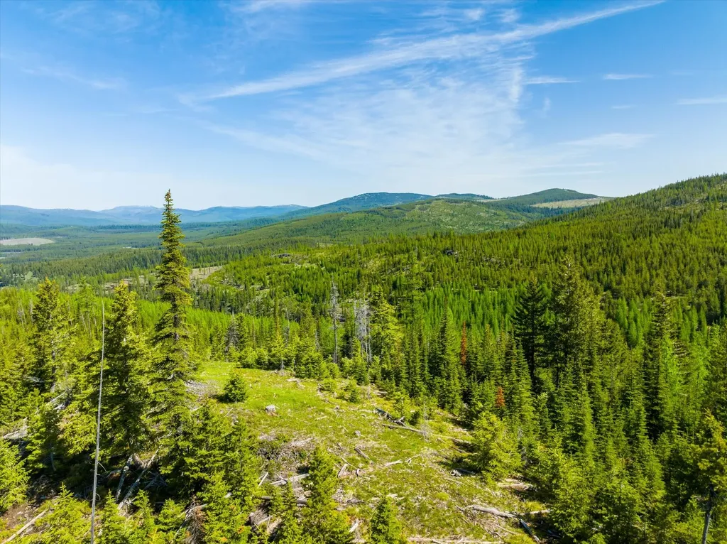 Nhn Griffin Creek Road Marion MT 59925