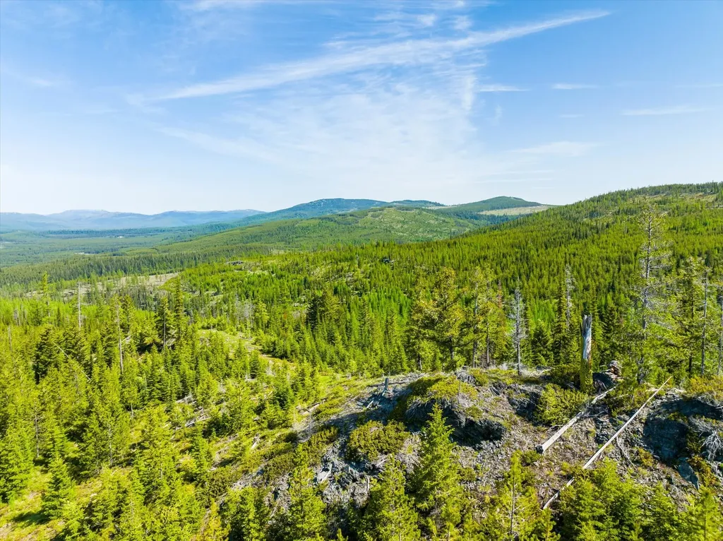 Nhn Griffin Creek Road Marion MT 59925