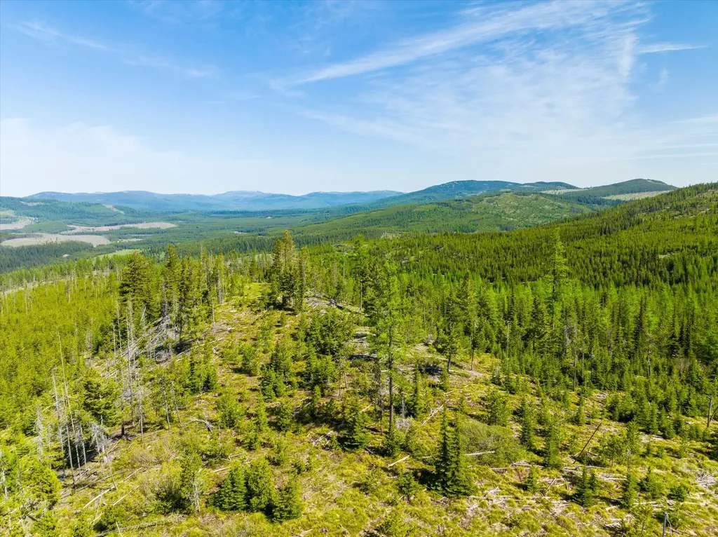 Nhn Griffin Creek Road Marion MT 59925