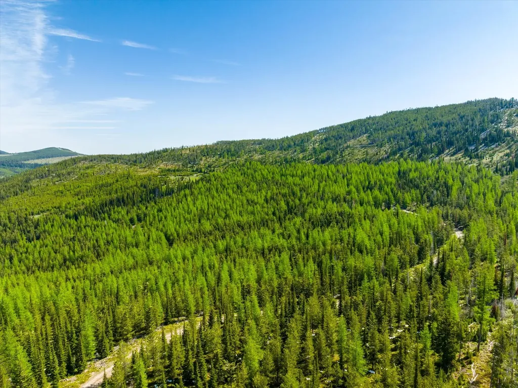 Nhn Griffin Creek Road Marion MT 59925