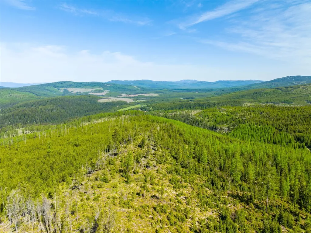 Nhn Griffin Creek Road Marion MT 59925