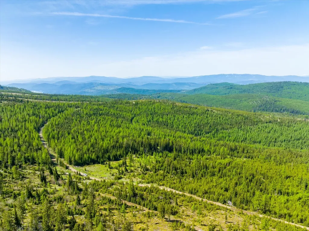 Nhn Griffin Creek Road Marion MT 59925