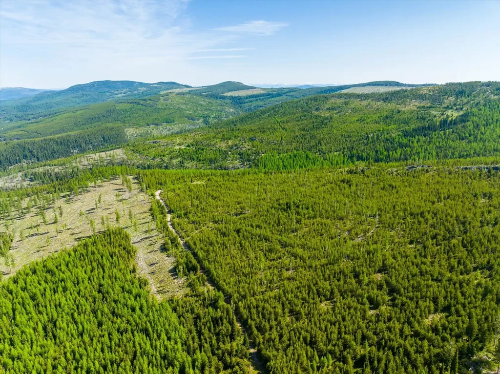 Nhn Griffin Creek Road Marion MT 59925