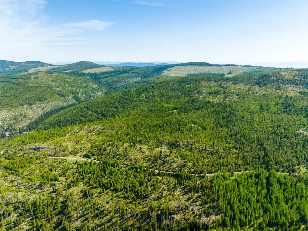 Nhn Griffin Creek Road Marion MT 59925