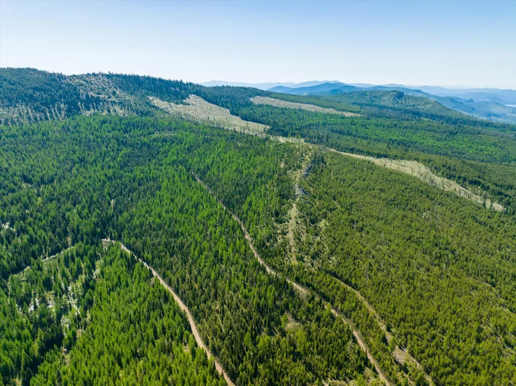 Nhn Griffin Creek Road Marion MT 59925