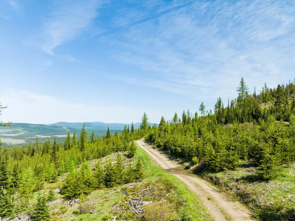 Nhn Griffin Creek Road Marion MT 59925
