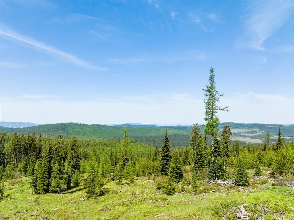 Nhn Griffin Creek Road Marion MT 59925