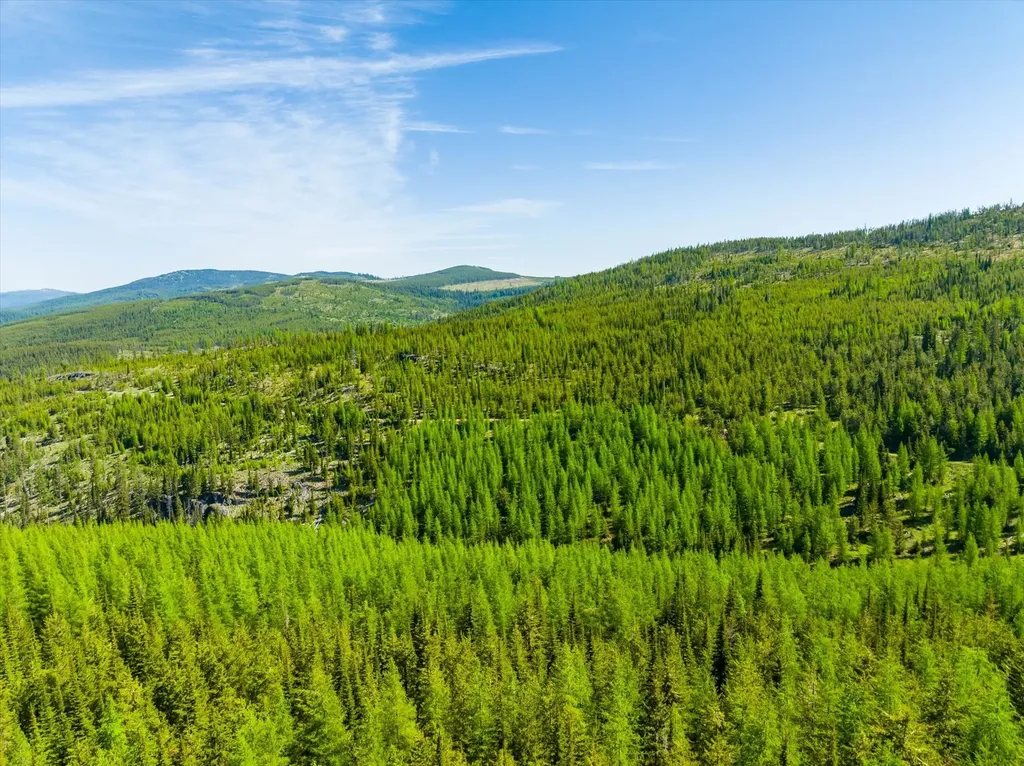 Nhn Griffin Creek Road Marion MT 59925