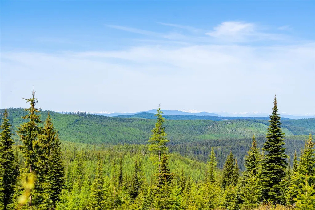 Nhn Griffin Creek Road Marion MT 59925