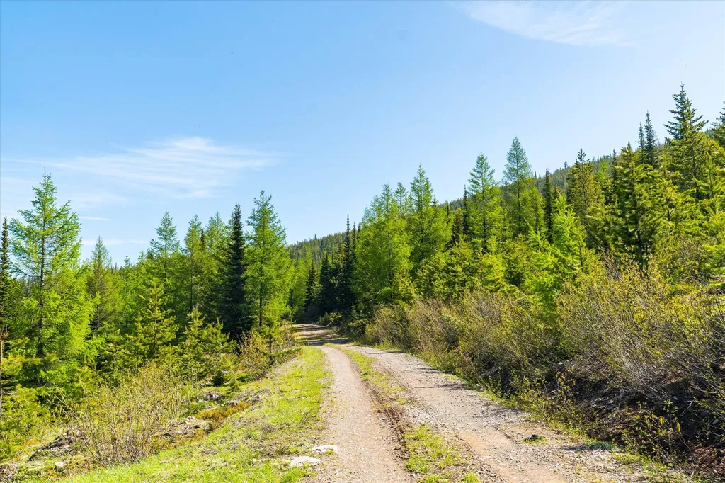 Nhn Griffin Creek Road Marion MT 59925