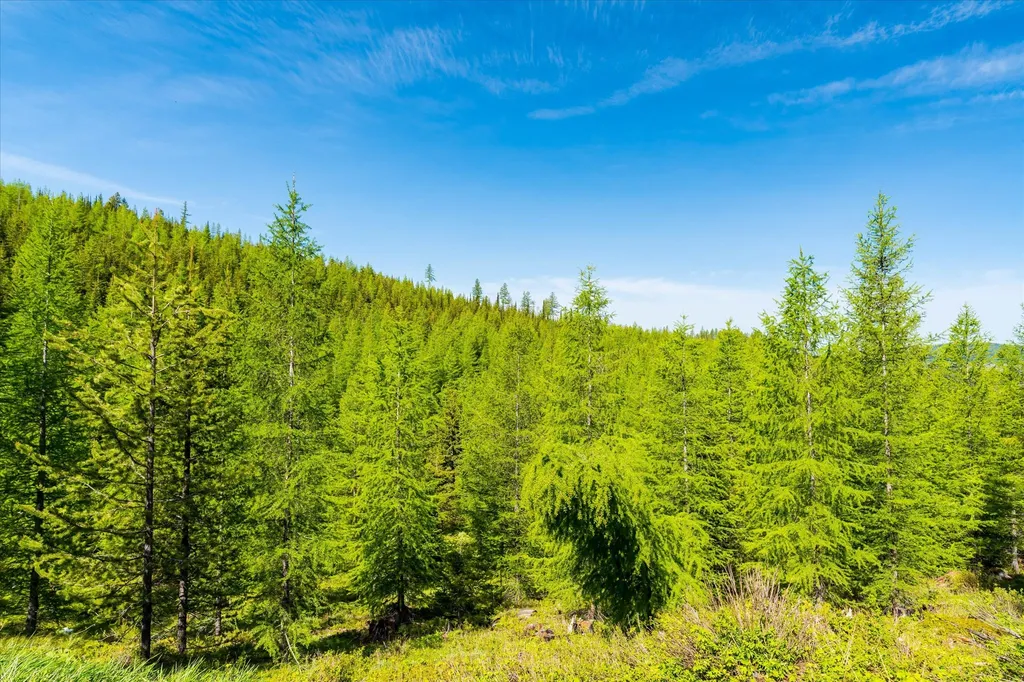 Nhn Griffin Creek Road Marion MT 59925