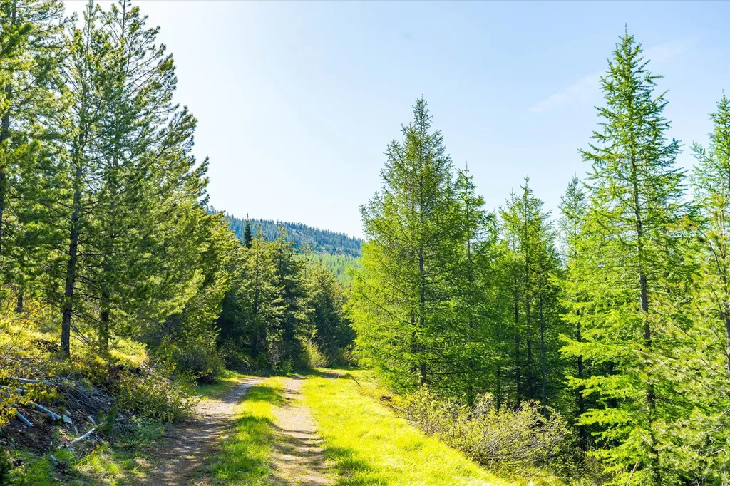 Nhn Griffin Creek Road Marion MT 59925