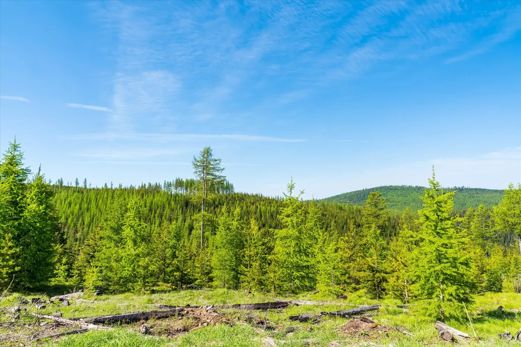 Nhn Griffin Creek Road Marion MT 59925