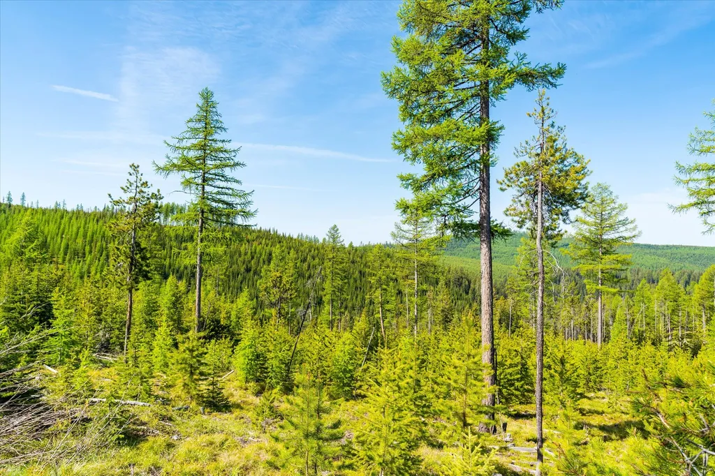 Nhn Griffin Creek Road Marion MT 59925