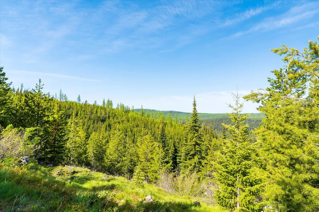 Nhn Griffin Creek Road Marion MT 59925